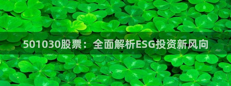 凯发k8ag旗舰厅真人平台：501030股票：全面解析ESG投资新风向