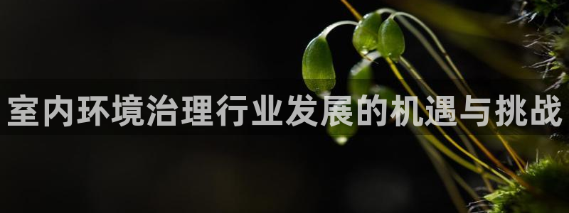 凯发k8娱乐官网手机端