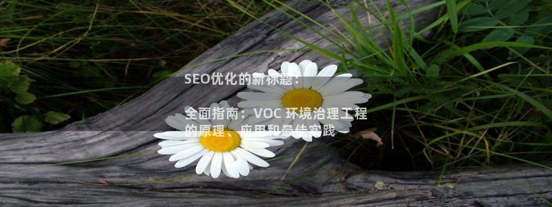 凯发就来凯发天生赢家一触即发|SEO优化的新标题：

全面指南：VOC 环境治理